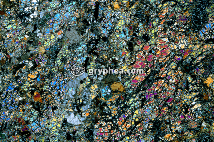 Harzburgite LPA x3,5 - gryphea.com